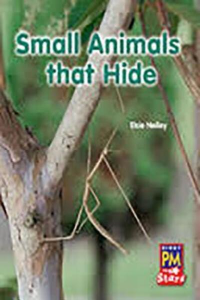 Small Animals That Hide - Rigby - Books - RIGBY - 9780544026322 - October 3, 2012