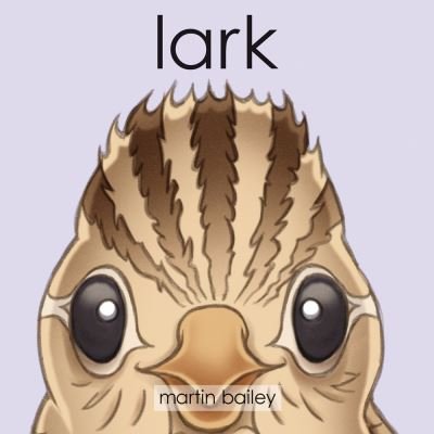 Lark - Martin Bailey - Books - BLACK CHOOK BOOKS - 9780995109322 - August 1, 2019