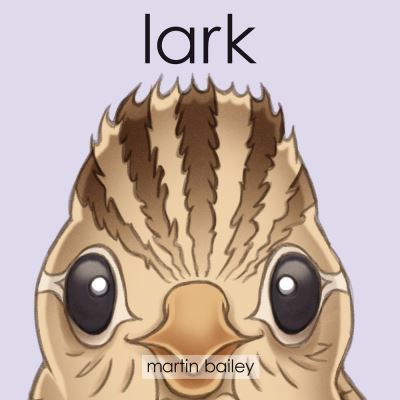 Cover for Martin Bailey · Lark (Kartongbok) (2019)