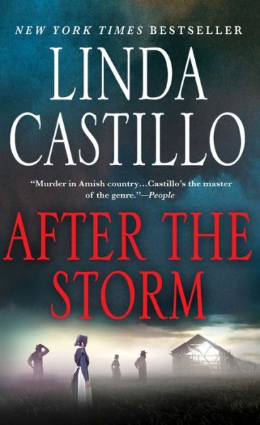 Cover for Linda Castillo · After the Storm: A Kate Burkholder Novel - Kate Burkholder (Paperback Bog) (2016)