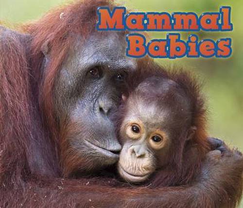 Cover for Catherine Veitch · Mammal Babies - Animal Babies (Paperback Book) (2014)