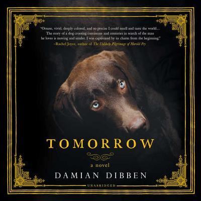 Cover for Damian Dibben · Tomorrow (CD) (2018)