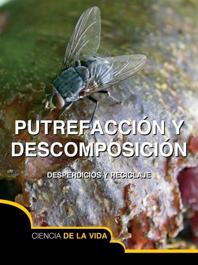 Cover for Sarah Levete · Putrefacción y Descomposición (Buch) (2014)