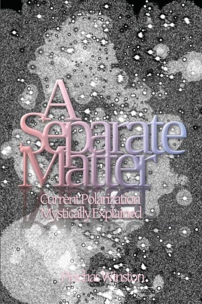 Cover for Pinchas Winston · A Separate Matter (Paperback Book) (2018)