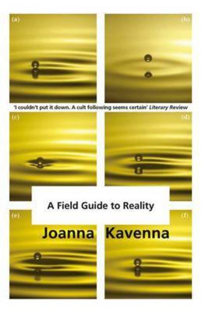 Cover for Joanna Kavenna · A Field Guide to Reality (Paperback Book) (2017)