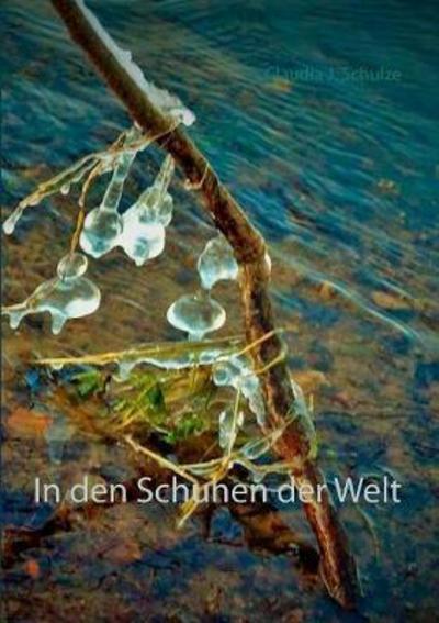 In den Schuhen der Welt - Schulze - Kirjat -  - 9783743196322 - perjantai 23. elokuuta 2019