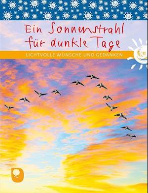 Cover for Eschbach Verlag Am · Ein Sonnenstrahl für dunkle Tage (Paperback Book) (2022)