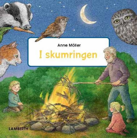 Cover for Anne Möller · I skumringen (Bound Book) [1st edition] (2017)