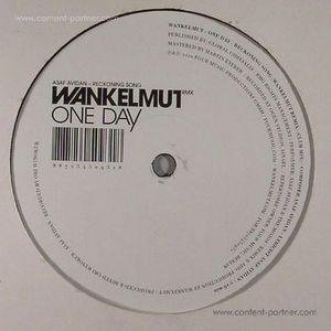 Cover for Asaf Avidan · One Day / Reckoning Song (Wankelmut Rmx) (12&quot;) (2012)