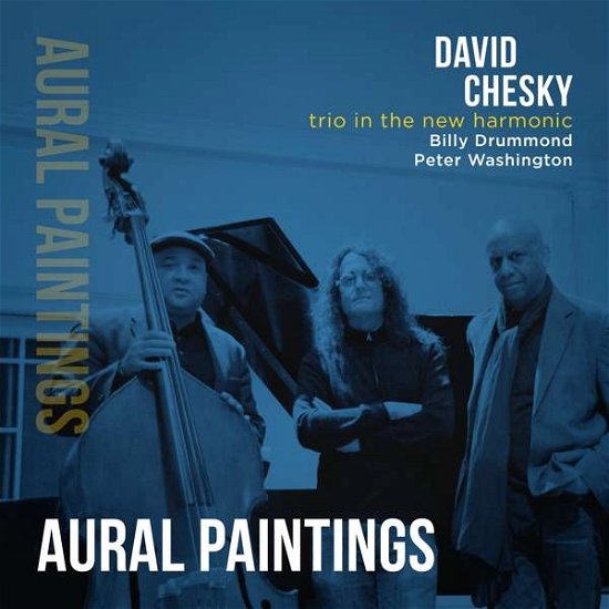 Cover for David Chesky · Trio in the New Harmonic: Aural Paintings (CD) (2018)