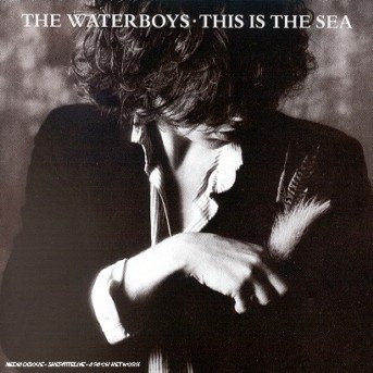 Waterboys · This Is Sea (CD) (2017)