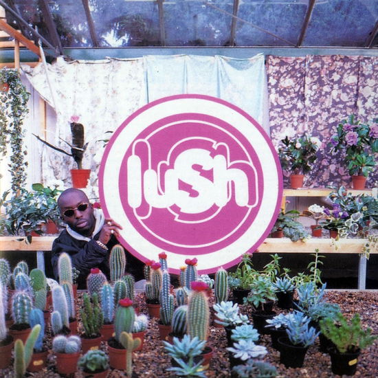 Lovelife - Lush - Música - 4AD - 0191400045323 - 12 de janeiro de 2024