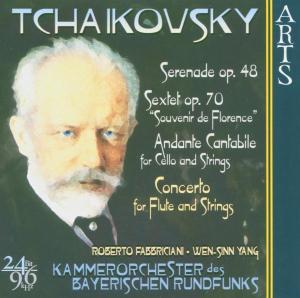 Serenade For Strings / Souvenir de Florence / Andante Cantabile Arts Music Klassisk - Fabbriciani / Bavarian Radio C.O. - Musik - DAN - 0600554763323 - 2000