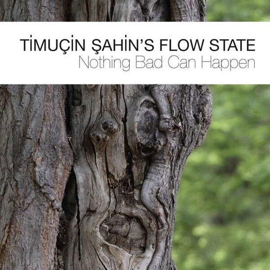 Nothing Bad Can Happen - Timucin Sahin's Flow Stat - Music - BETWEEN THE LINES - 0608917124323 - June 2, 2017