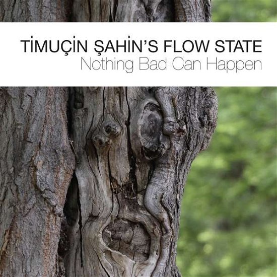 Cover for Timucin Sahin's Flow Stat · Nothing Bad Can Happen (CD) (2017)