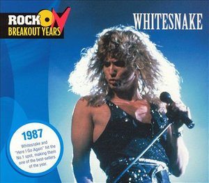 Cover for Whitesnake · Rock Breakout Years (CD) (2005)