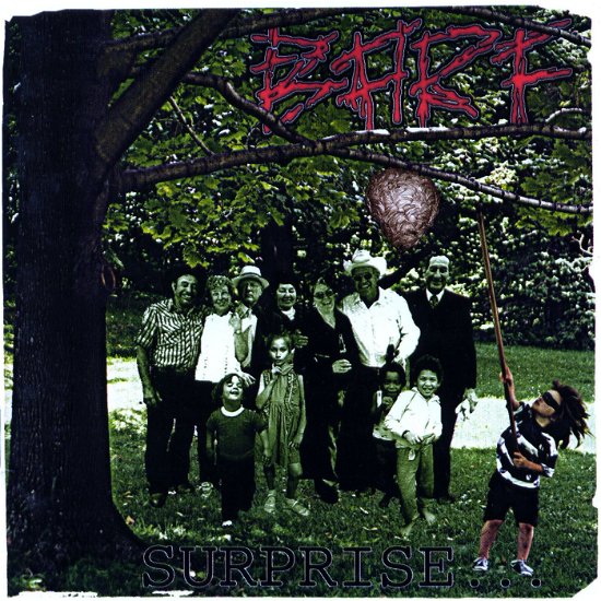 Cover for B.a.r.f. · Surprise (CD) (1995)
