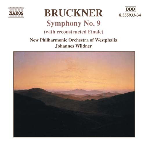 Various Works - Anton Bruckner - Musikk - NAXOS - 0747313593323 - 15. desember 2003