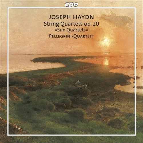 String Quartets Op 20 - Haydn / Pellegrini Quartett - Musiikki - CPO - 0761203717323 - tiistai 29. huhtikuuta 2008