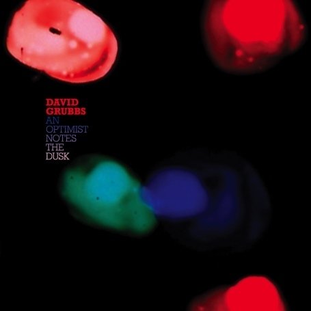 Cover for David Grubbs · Optimist Notes the Dusk (CD) (2008)