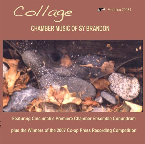Cover for Sy Brandon · Collage (CD) (2008)