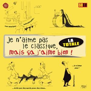 Cover for Ma Je N'aime Pas Le Classique · Je n'aime pas le classique, mais ? (CD) (2016)