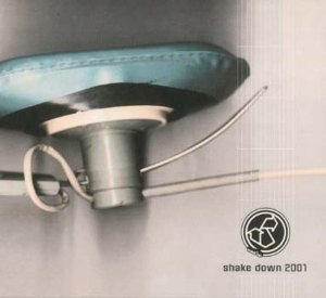 Shakedown 2001 - Various Artists - Music - SHAKE UP - 4018939103323 - December 25, 2000