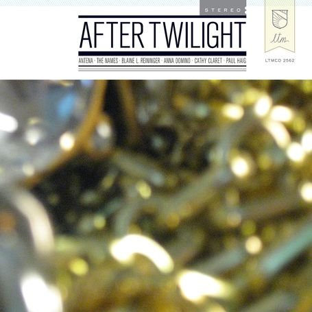Cover for After Twilight / Various · After Twilight (CD) (2010)