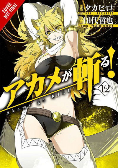 Akame ga KILL!, Vol. 12 - AKAME GA KILL GN - Takahiro - Books - Little, Brown & Company - 9780316473323 - October 31, 2017