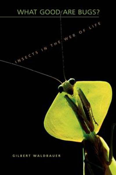 Cover for Gilbert Waldbauer · What Good Are Bugs?: Insects in the Web of Life (Taschenbuch) (2004)