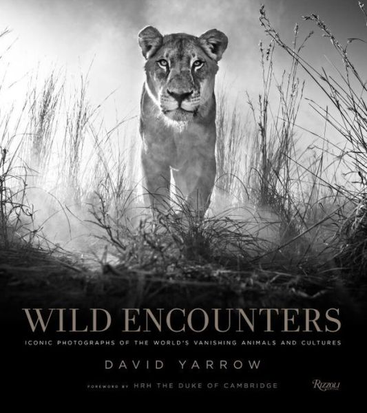 Cover for David Yarrow · Wild Encounters: Iconic Photographs of the World's Vanishing Animals and Cultures (Hardcover Book) (2016)