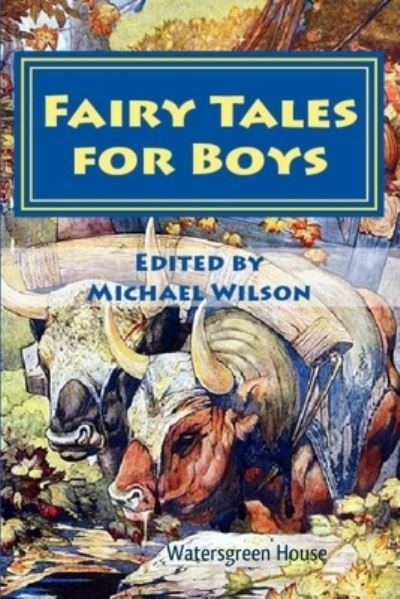 Cover for Michael Wilson · Fairy Tales for Boys (Paperback Bog) (2019)
