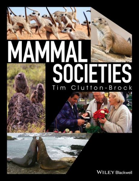 Cover for Tim Clutton-Brock · Mammal Societies (Hardcover Book) (2016)