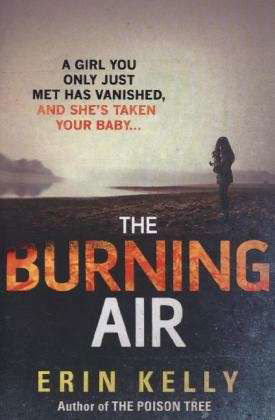Cover for Erin Kelly · The Burning Air (Paperback Book) (2013)