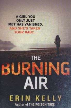 Cover for Erin Kelly · The Burning Air (Pocketbok) (2013)