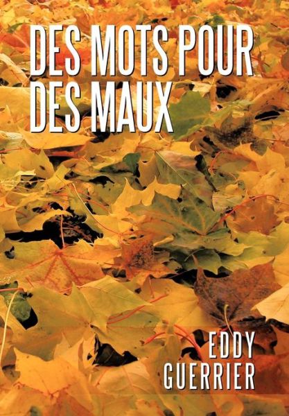 Cover for Eddy Guerrier · Des Mots Pour Des Maux (Hardcover Book) (2012)