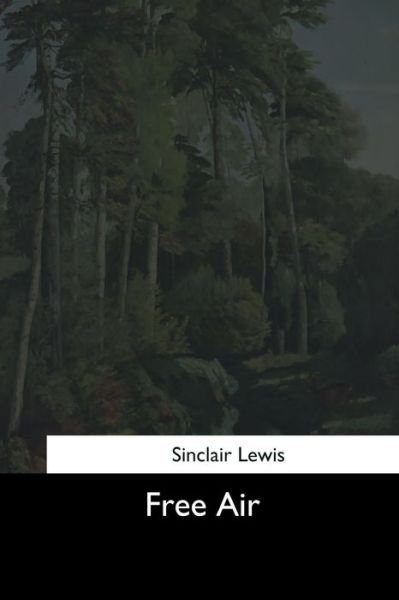 Free Air - Sinclair Lewis - Books - Createspace Independent Publishing Platf - 9781544622323 - March 16, 2017