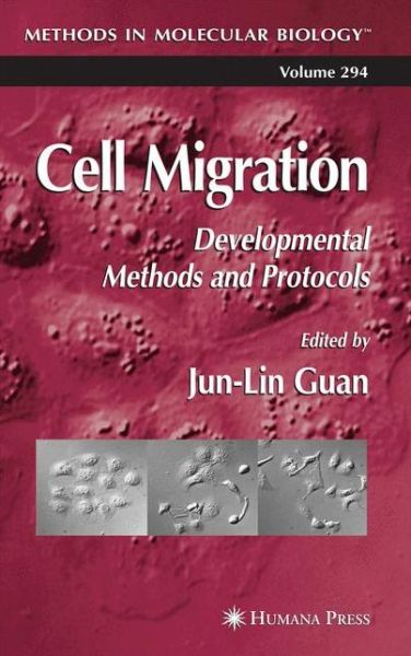 Cover for Jun-lin Guan · Cell Migration: Developmental Methods and Protocols - Methods in Molecular Biology (Paperback Book) [Softcover reprint of hardcover 1st ed. 2005 edition] (2010)