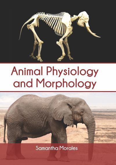 Cover for Samantha Morales · Animal Physiology and Morphology (Hardcover Book) (2020)