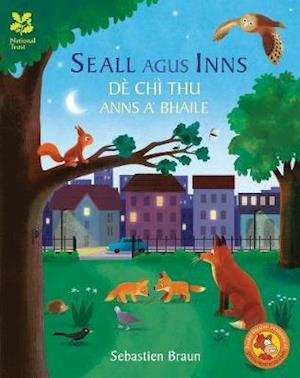 Cover for Sebastien Braun · Seall Agus Inns De Chi Thu Anns A' Bhaile (Paperback Book) (2019)