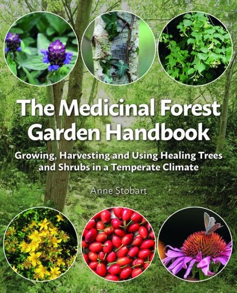 Cover for Anne Stobart · The Medicinal Forest Garden Handbook: Growing, harvesting and using healing trees and shrubs in a temperate climate (Pocketbok) (2020)