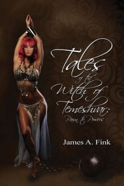 Cover for James A Fink · Tales of the Witch of Temeshvar (Paperback Book) (2022)