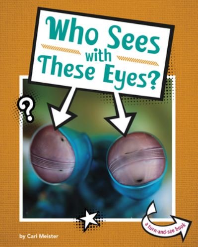 Cover for Cari Meister · Who Sees with These Eyes? (Hardcover bog) (2020)