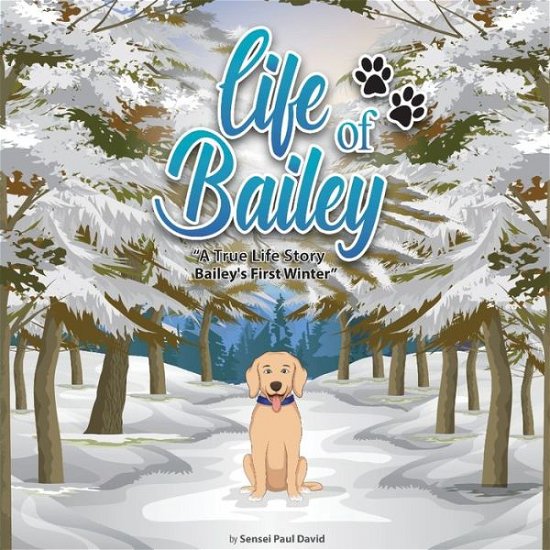 Cover for Sensei Paul David · Life of Bailey: Bailey's First Winter - Life of Bailey (Pocketbok) [Lifeofbailey.Senseipublishing.com edition] (2021)