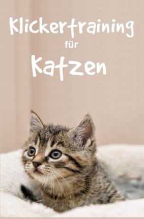 Cover for Hawk · Klickertraining für Katzen (Buch)