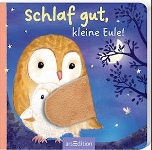 Cover for Sharon Harmer · Schlaf gut, kleine Eule! (Book) (2024)