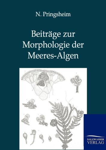 Cover for N Pringsheim · Beitrage zur Morphologie der Meeres-Algen (Pocketbok) [German edition] (2012)