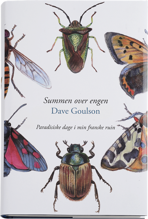 Cover for Dave Goulson · Summen over engen (Innbunden bok) [1. utgave] (2016)