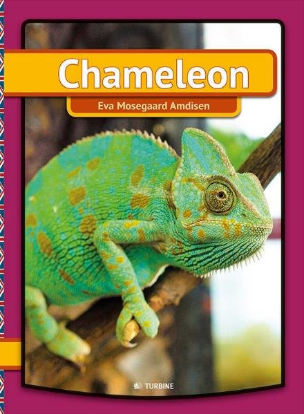 Cover for Eva Mosegaard Amdisen · My first book: Chameleon (Hardcover Book) [1º edição] (2017)