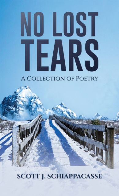 Cover for Scott J Schiappacasse · No Lost Tears: A Collection of Poetry (Paperback Book) (2024)